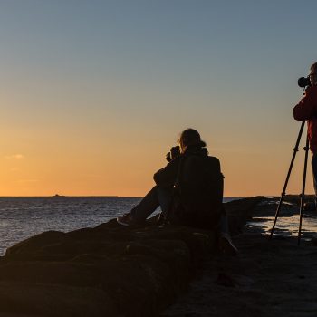 Abends auf der Hamburger Hallig